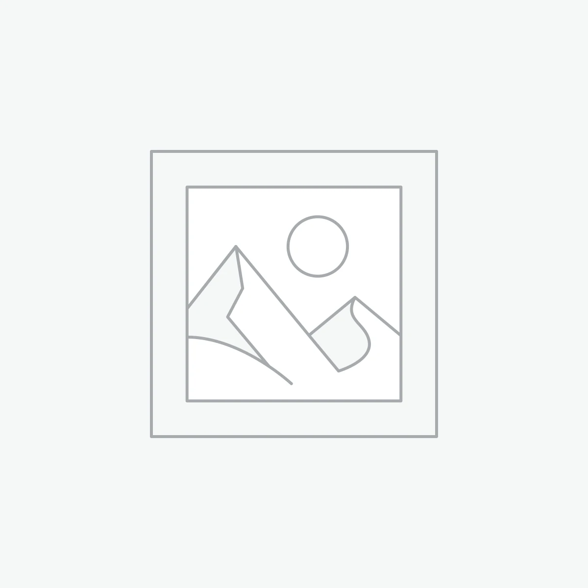 .NET Developer